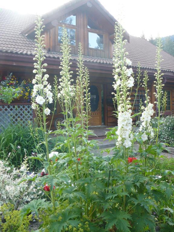 Hitching Post Resort Келоуна Стая снимка